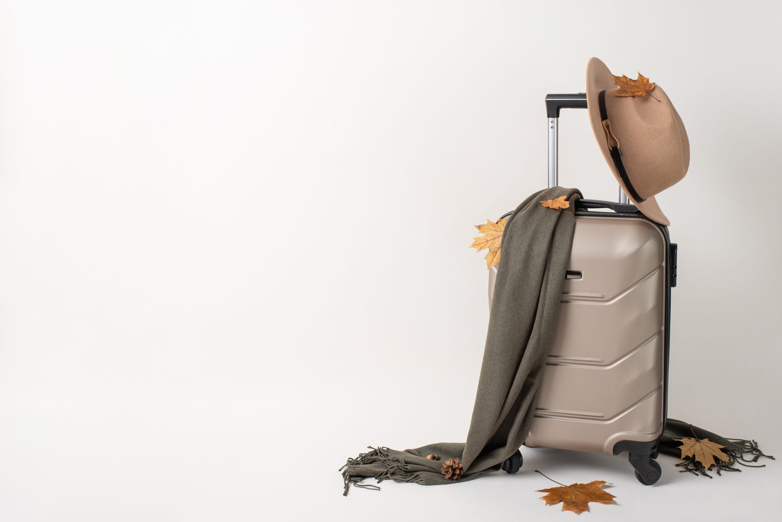 Fall traveler with luggage theme. Side view shot of stylish suitcase, warm shawl, woolen hat 24" Wellington Suitcase - Pewter